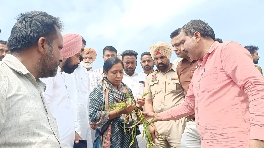 ਪੰਜਾਬ ਸਰਕਾਰ ਬੇਰੁਜ਼ਗਾਰ ਵਿਅਕਤੀਆਂ ਦੀ ਕਰੇਗੀ ਹਰ ਸੰਭਵ ਸਹਾਇਤਾ