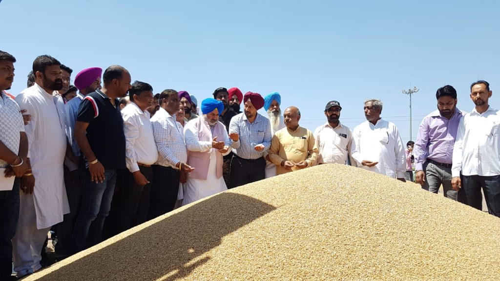 ਕੈਬਨਿਟ ਮੰਤਰੀ ਚੇਤਨ ਸਿੰਘ ਜੌੜਾਮਾਜਰਾ ਨੇ ਸਮਾਣਾ ਦੀ ਅਨਾਜ ਮੰਡੀ 'ਚ ਕਣਕ ਦੀ ਸਰਕਾਰੀ ਖ਼ਰੀਦ ਸ਼ੁਰੂ ਕਰਵਾਈ