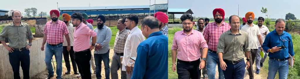 ਨਗਰ ਨਿਗਮ ਦੀ ਚੰਗੀ ਪਹਿਲ-ਸ਼ਾਹੀ ਸ਼ਹਿਰ ਪਟਿਆਲਾ ਨੂੰ ਅਵਾਰਾ ਪਸ਼ੂਆਂ ਤੋਂ ਮੁਕਤ ਕਰਨ ਦੀ ਮੁਹਿੰਮ ਸ਼ੁਰੂ