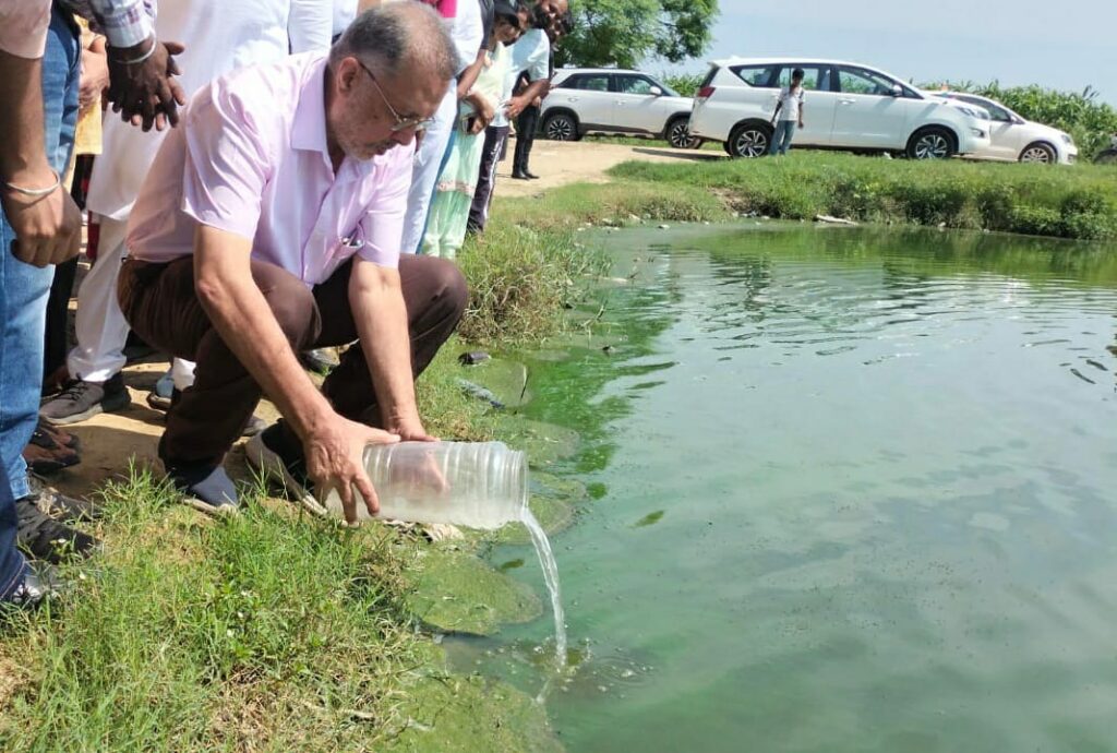 ਸੂਬੇ ਦੇ ਸਰਪੰਚ ਤੇ ਕੌਂਸਲਰ ਡੇਂਗੂ ਤੇ ਮਲੇਰੀਆਂ ਤੋਂ ਬਚਾਅ ਲਈ ਛੱਪੜਾਂ ’ਚ ਛੱਡਣ ਗੰਬੂਜੀਆਂ ਮੱਛੀਆਂ : ਡਾ ਬਲਬੀਰ ਸਿੰਘ