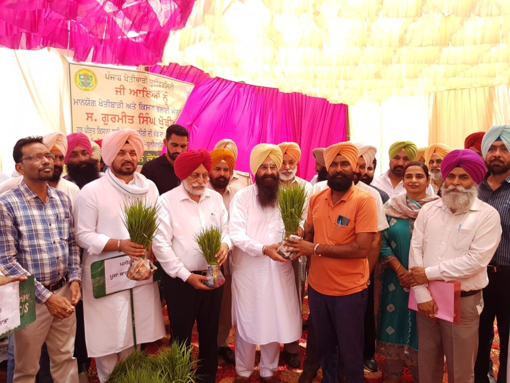 ਖੇਤੀਬਾੜੀ ਮੰਤਰੀ ਗੁਰਮੀਤ ਸਿੰਘ ਖੁੱਡੀਆਂ ਨੇ ਹੜ੍ਹ ਪ੍ਰਭਾਵਿਤ ਕਿਸਾਨਾਂ ਨੂੰ ਮੁਫ਼ਤ ਪਨੀਰੀ ਵੰਡਣ ਦੀ ਕੀਤੀ ਸ਼ੁਰੂਆਤ