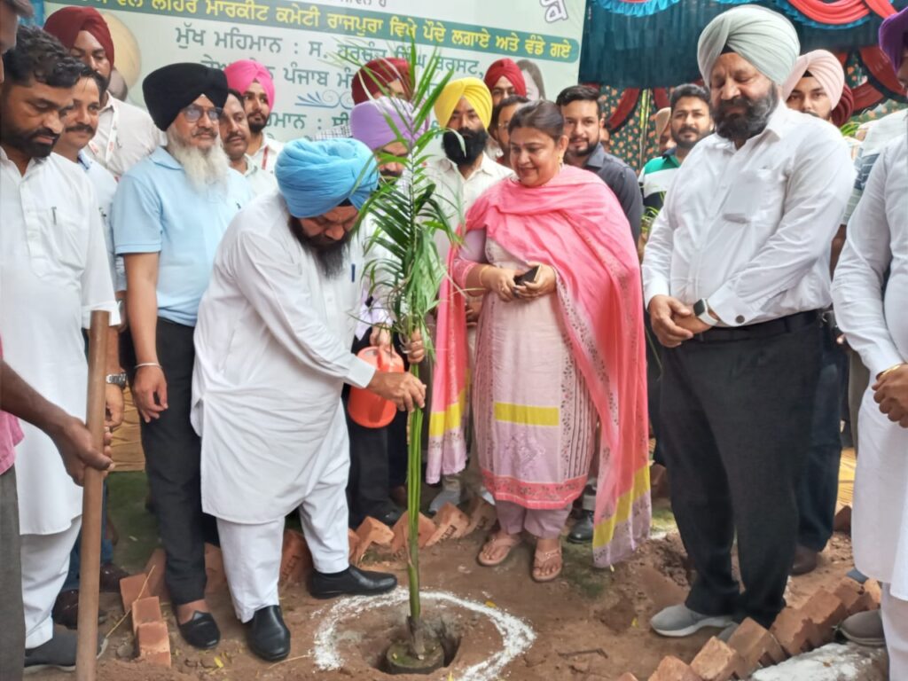 ਮੰਡੀ ਬੋਰਡ ਚੇਅਰਮੈਨ ਬਰਸਟ ਤੇ ਵਿਧਾਇਕ ਨੀਨਾ ਮਿੱਤਲ ਨੇ ਰਾਜਪੁਰਾ ਮੰਡੀ 'ਚ ਲਾਏ ਬੂਟੇ