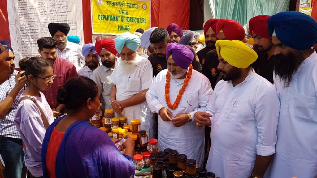 ਚੇਤਨ ਸਿੰਘ ਜੌੜਾਮਾਜਰਾ ਵੱਲੋਂ ਕਿਸਾਨਾਂ ਨੂੰ ਆਮਦਨ ਵਧਾਉਣ ਲਈ ਰਵਾਇਤੀ ਖੇਤੀ ਦੇ ਨਾਲ ਨਾਲ ਬਾਗਬਾਨੀ ਅਤੇ ਸਹਾਇਕ ਕਿੱਤੇ ਅਪਣਾਉਣ ਦਾ ਸੱਦਾ