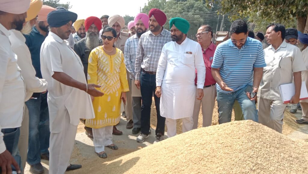 ਡਿਪਟੀ ਕਮਿਸ਼ਨਰ ਵੱਲੋਂ ਰਾਜਪੁਰਾ ਮੰਡੀ ਦਾ ਅਚਨਚੇਤ ਦੌਰਾ, ਝੋਨੇ ਦੀ ਖਰੀਦ ਦਾ ਜਾਇਜ਼ਾ ਲਿਆ