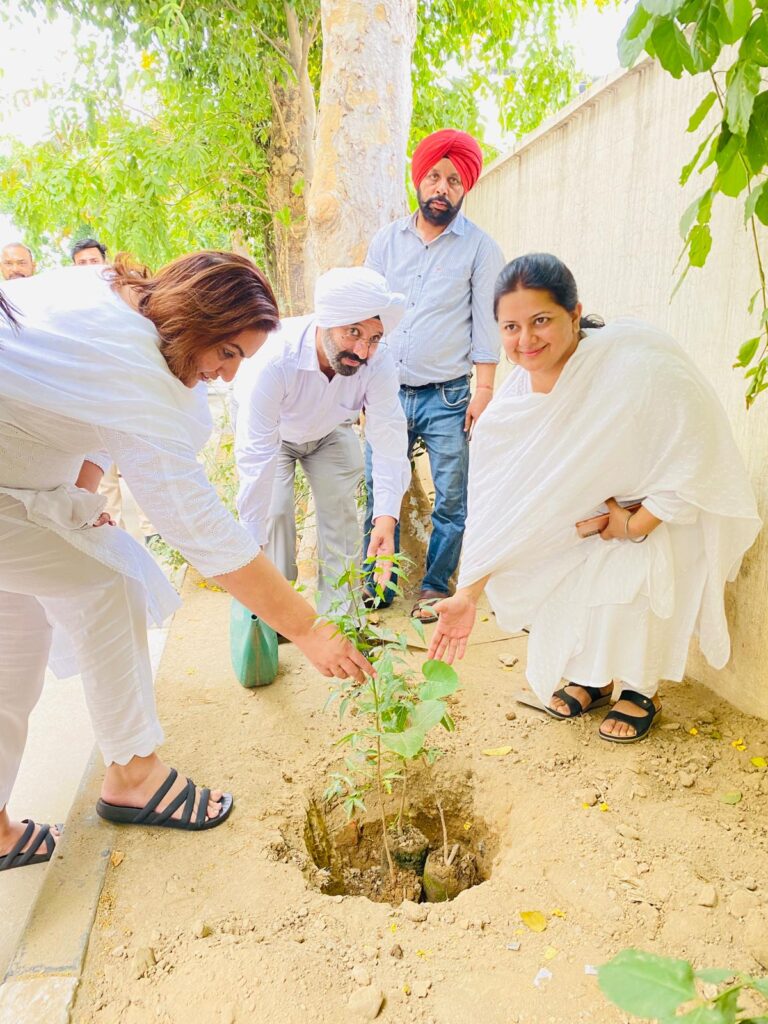 ਜ਼ਿਲ੍ਹਾ ਕਾਨੂੰਨੀ ਸੇਵਾਵਾਂ ਅਥਾਰਟੀ ਨੇ ਮਨਾਇਆ ਵਿਸ਼ਵ ਵਾਤਾਵਰਣ ਦਿਵਸ