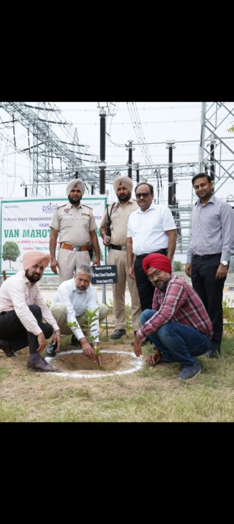 ਪੀ.ਐਸ.ਟੀ.ਸੀ.ਐਲ. ਨੇ ਵਣ ਮਹਾਂਉਤਸਵ ਸਮਾਗਮ ਦੌਰਾਨ 'ਗਰੀਨ ਪੀ.ਐਸ.ਟੀ.ਸੀ.ਐਲ. ਮੁਹਿੰਮ ਦਾ ਜਸ਼ਨ ਮਨਾਇਆ
