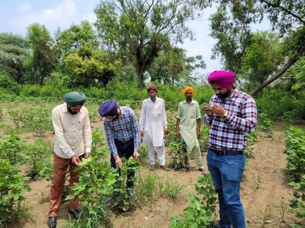 ਖੇਤੀਬਾੜੀ ਵਿਭਾਗ ਵੱਲੋਂ ਨਰਮੇ ਦੀ ਫ਼ਸਲ ਦੀ ਨਿਰੰਤਰ ਨਿਗਰਾਨੀ ਯਕੀਨੀ ਬਣਾਉਣ ਲਈ 128 ਟੀਮਾਂ ਗਠਿਤ