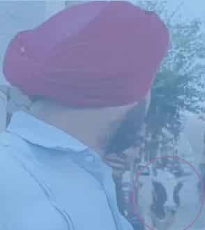 ਜਲੰਧਰ ਜਿਮਨੀ ਚੋਣ ਪ੍ਰਚਾਰ ਦੌਰਨ ਸਾਨ੍ਹ ਦੇ ਵੜਨ ਨਾਲ ਪਿਆ ਭੜਥੂ