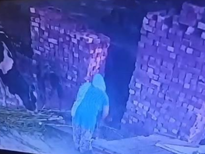 ਨੌਜਵਾਨ ਦੀ ਸਾਨ੍ਹ ਵੱਲੋਂ ਕੀਤੇ ਹਮਲੇ ਵਿਚ ਹੋਈ ਮੌਤ