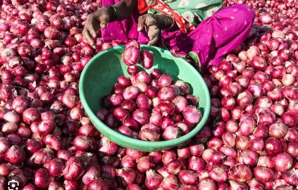 ਪਿਆਜ ਦੀਆਂ ਕੀਮਤਾਂ ਦੇ ਚਲਦਿਆਂ ਨਾਸਿਕ ਤੋਂ ਪਿਆਜ਼ ਲੈ ਕੇ ਰੇਲ ਗੱਡੀ ਪਹੁੰਚੀ ਦਿੱਲੀ