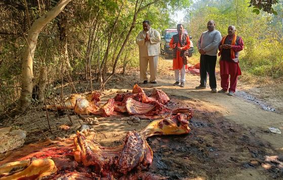 ਗਊਆਂ ਨੂੰ ਵਢ ਕੇ ਸੁਟਣ ਕਾਰਨ ਹਿੰਦੂ ਸੰਗਠਨਾਂ 'ਚ ਭਾਰੀ ਰੋਸ਼