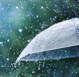 rain