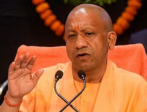 yogi