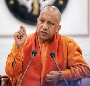 yogi