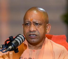 yogi