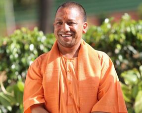 yogi2