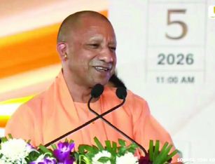 yogi