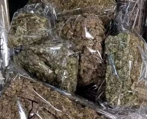 ganja