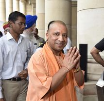 yogi