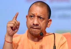 yogi