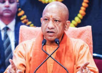 yogi