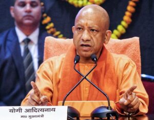 yogi