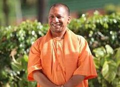 yogi