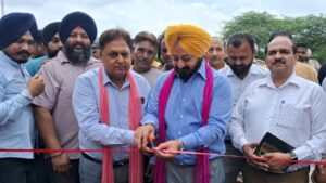 kohali2
