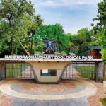 zoo
