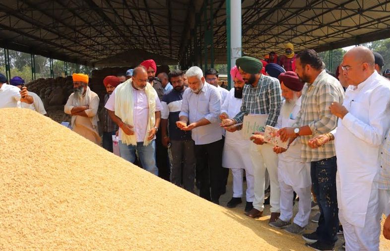 ਕੈਬਨਿਟ ਮੰਤਰੀ ਲਾਲ ਚੰਦ ਕਟਾਰੂਚੱਕ ਨੇ ਰਈਆ ਮੰਡੀ ਵਿਖੇ ਝੋਨੇ ਦੀ ਖ਼ਰੀਦ ਦਾ ਜਾਇਜ਼ਾ ਲਿਆ